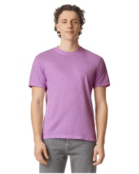 Adult Heavyweight T-Shirt - Comfort Colors C1717 T Shirts